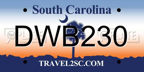 DWB230 South Carolina License Plate
