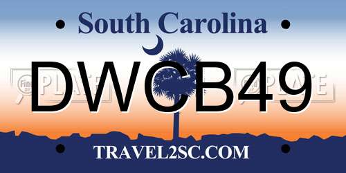 DWCB49 South Carolina License Plate