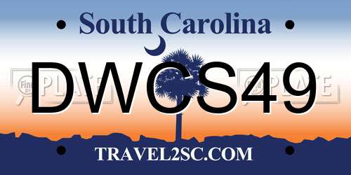 DWCS49 South Carolina License Plate