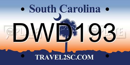 DWD193 South Carolina License Plate