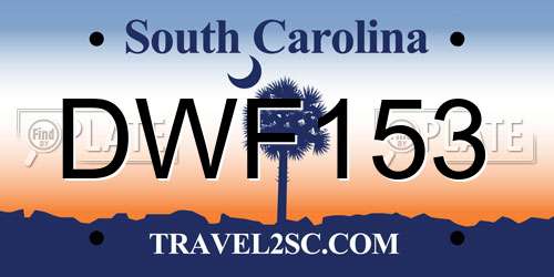 DWF153 South Carolina License Plate
