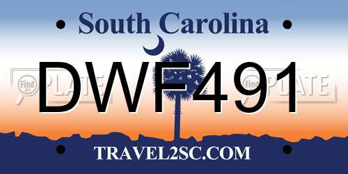 DWF491 South Carolina License Plate
