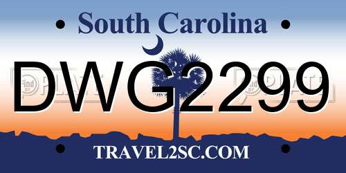 DWG2299 South Carolina License Plate