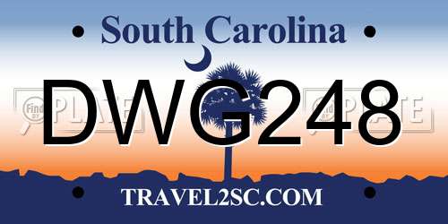 DWG248 South Carolina License Plate