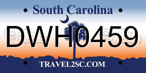 DWH0459 South Carolina License Plate