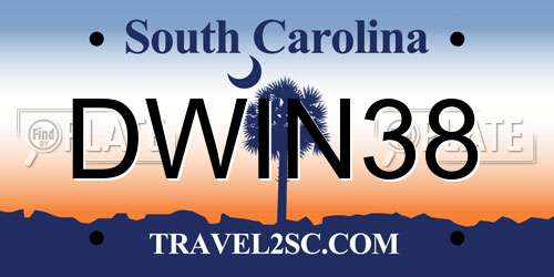 DWIN38 South Carolina License Plate