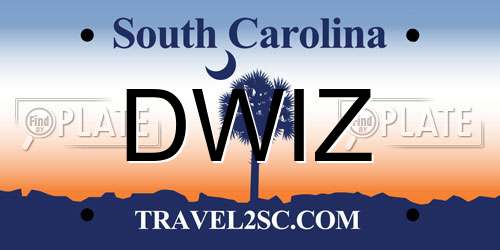 DWIZ South Carolina License Plate