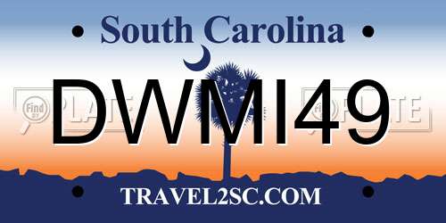 DWMI49 South Carolina License Plate