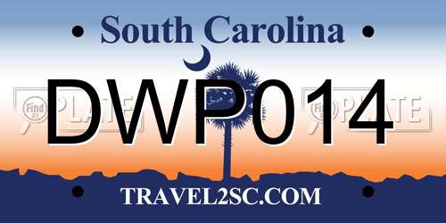 DWP014 South Carolina License Plate