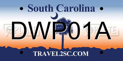 DWP01A South Carolina License Plate
