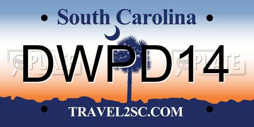 DWPD14 South Carolina License Plate