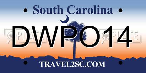DWPO14 South Carolina License Plate