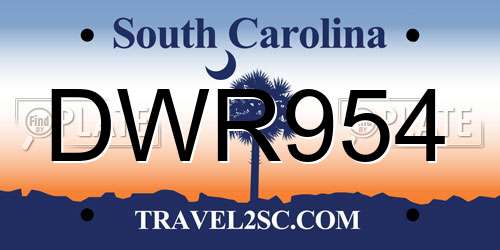 DWR954 South Carolina License Plate