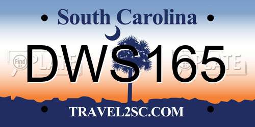 DWS165 South Carolina License Plate