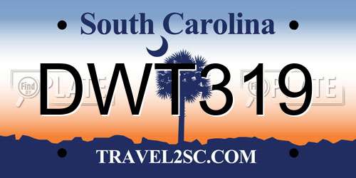 DWT319 South Carolina License Plate