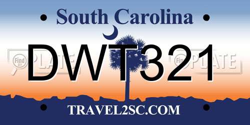 DWT321 South Carolina License Plate