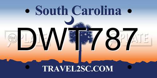 DWT787 South Carolina License Plate