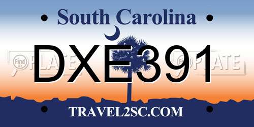 DXE391 South Carolina License Plate