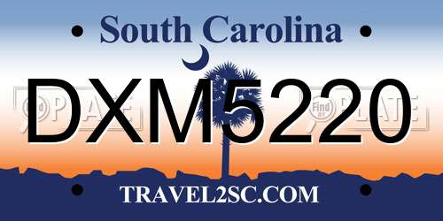 DXM5220 South Carolina License Plate