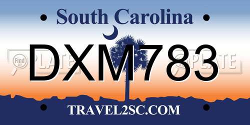 DXM783 South Carolina License Plate