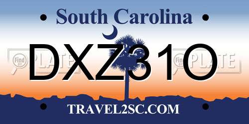 DXZ31O South Carolina License Plate
