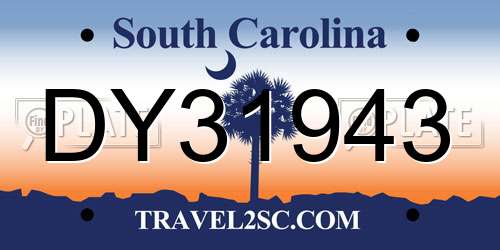 DY31943 South Carolina License Plate