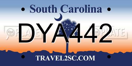 DYA442 South Carolina License Plate