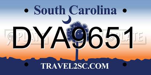 DYA9651 South Carolina License Plate