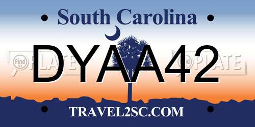 DYAA42 South Carolina License Plate