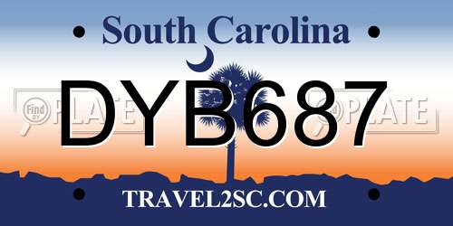 DYB687 South Carolina License Plate