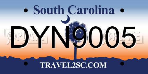 DYN9005 South Carolina License Plate