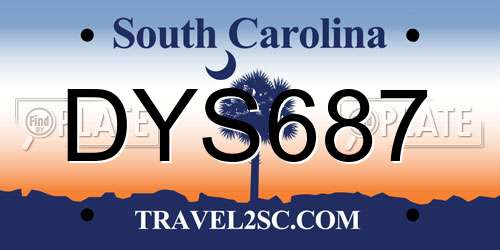 DYS687 South Carolina License Plate