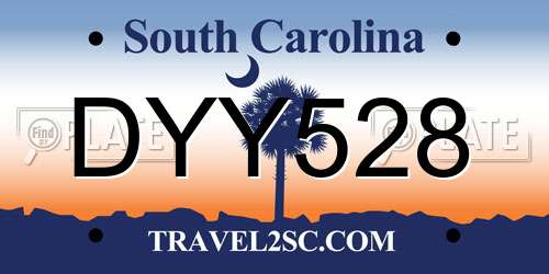 DYY528 South Carolina License Plate