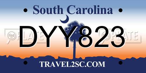 DYY823 South Carolina License Plate