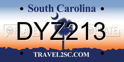 DYZ213 South Carolina License Plate