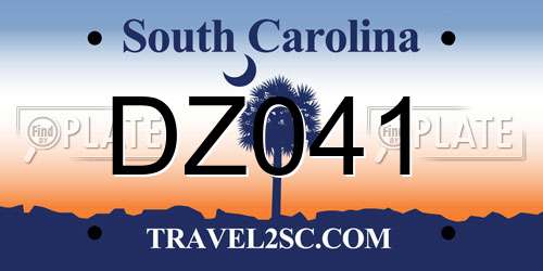 DZ041 South Carolina License Plate