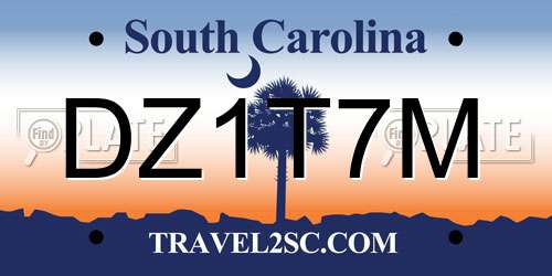DZ1T7M South Carolina License Plate