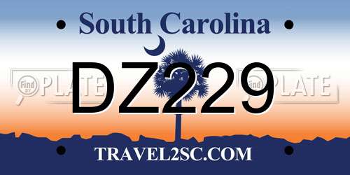 DZ229 South Carolina License Plate
