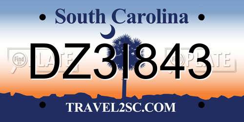 DZ3I843 South Carolina License Plate