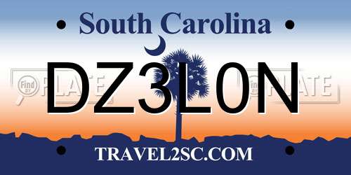 DZ3L0N South Carolina License Plate
