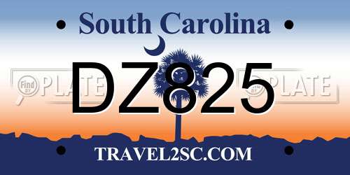 DZ825 South Carolina License Plate