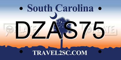 DZAS75 South Carolina License Plate
