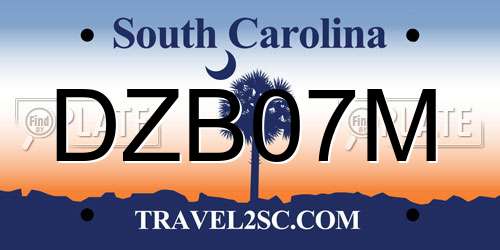 DZB07M South Carolina License Plate