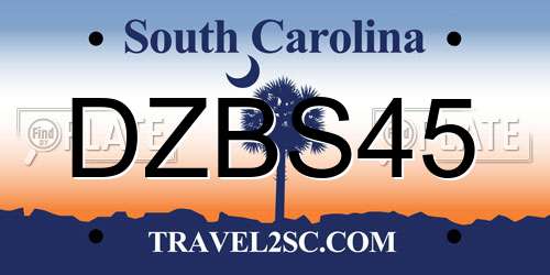 DZBS45 South Carolina License Plate