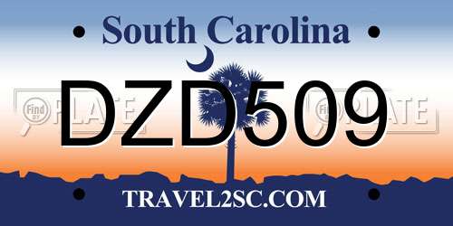 DZD509 South Carolina License Plate
