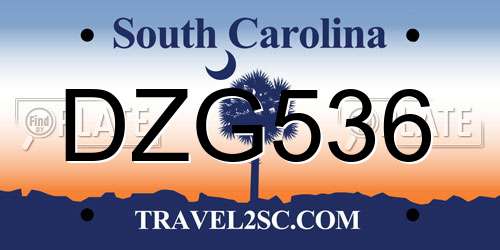 DZG536 South Carolina License Plate