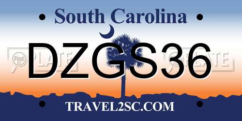 DZGS36 South Carolina License Plate