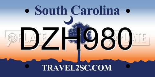 DZH980 South Carolina License Plate