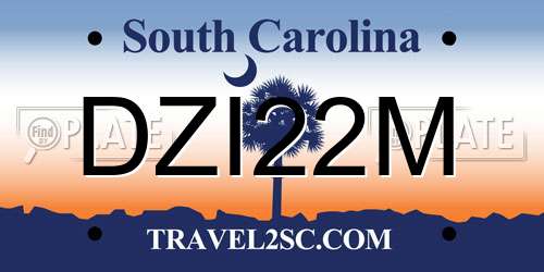 DZI22M South Carolina License Plate