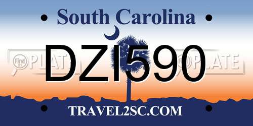 DZI590 South Carolina License Plate